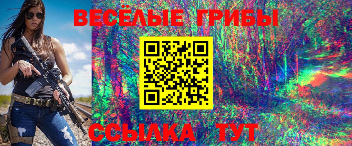 Псилоцибиновые грибы GOLDEN TEACHER Саянск