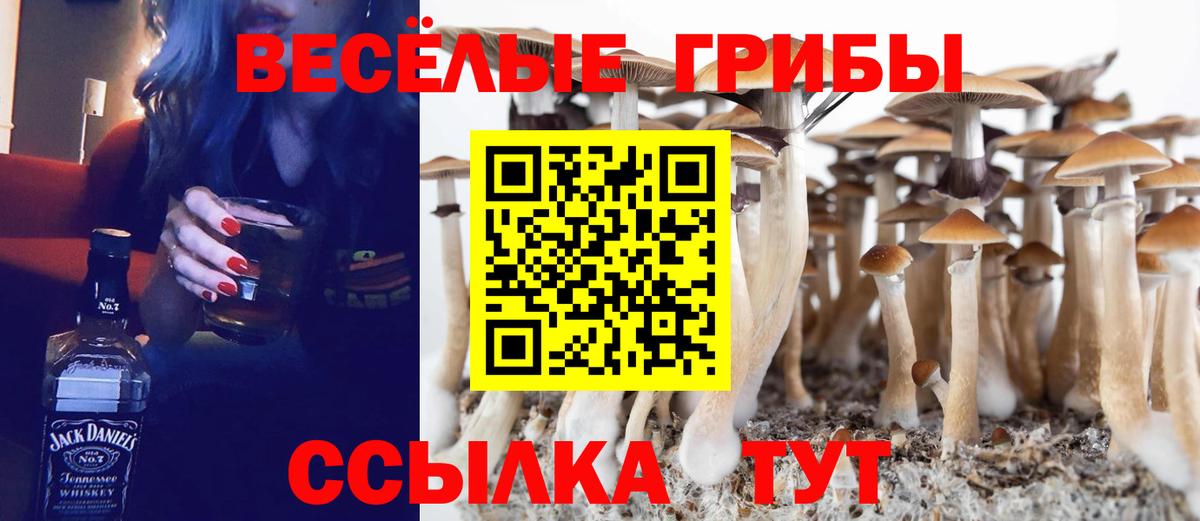 Галлюциногенные грибы GOLDEN TEACHER  Вход с VPN  купить наркоту  Саянск  Галлюциногенные грибы Psilocybe 